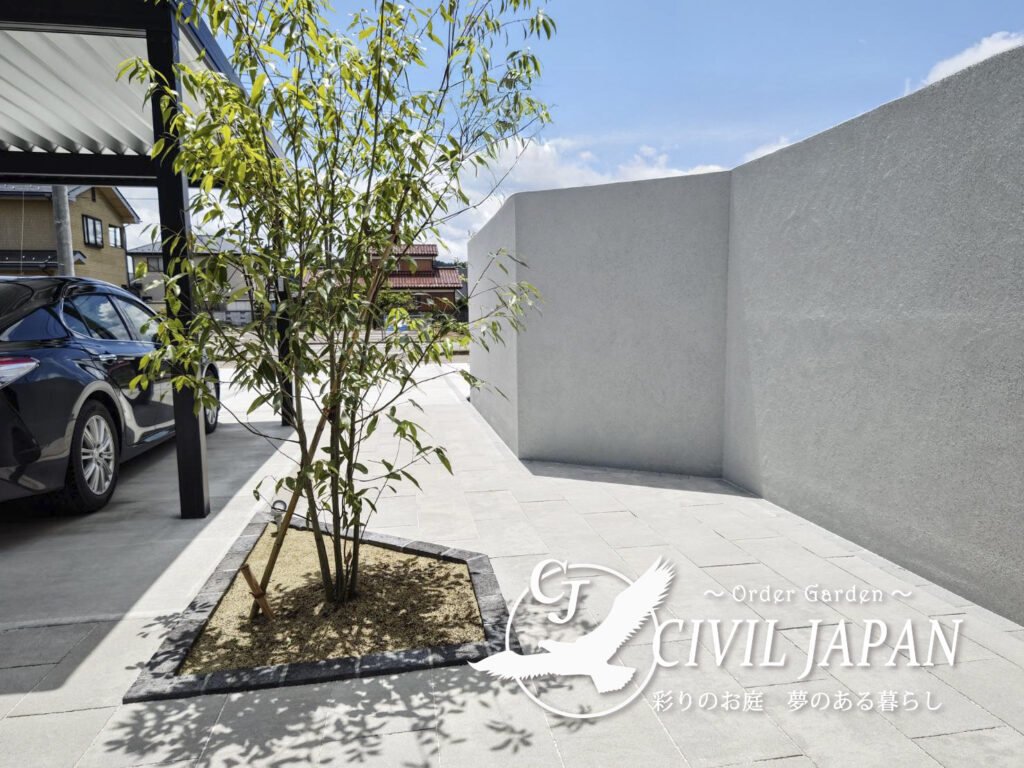 完成　植栽　アプローチ